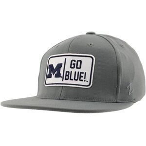 ZHATS Standard NCAA Officially Licensed Fitted Hat M15Z Defer Medium/335--bb2